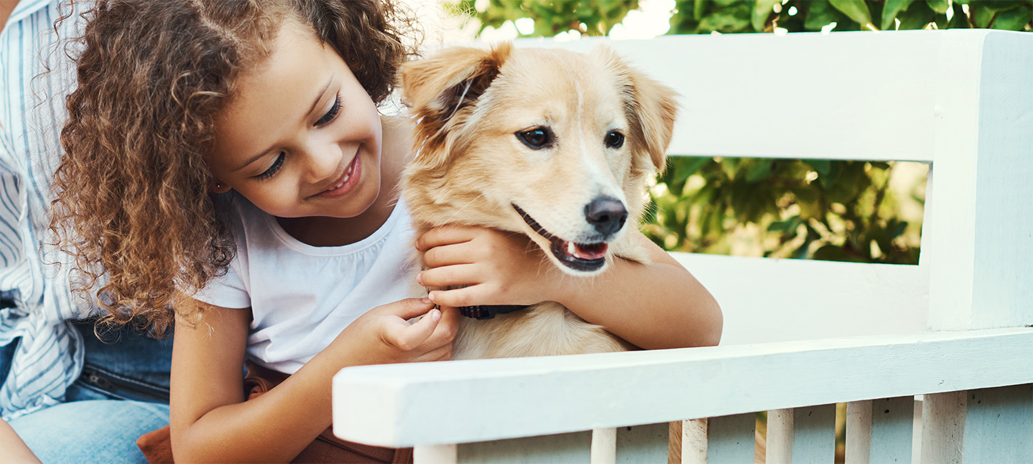What Does Spay and Neuter Surgery Cost in Phoenix, AZ?