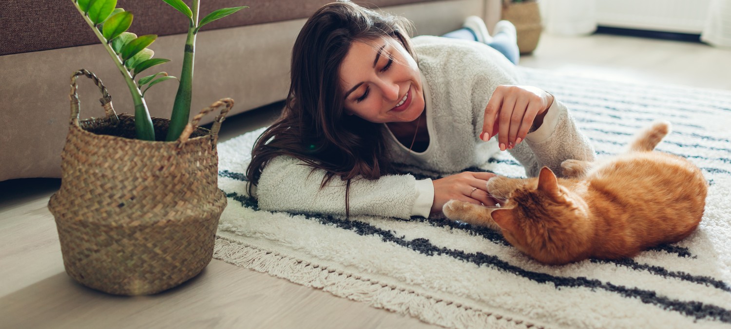 What to Expect After Spay or Neuter Surgery in Phoenix, AZ